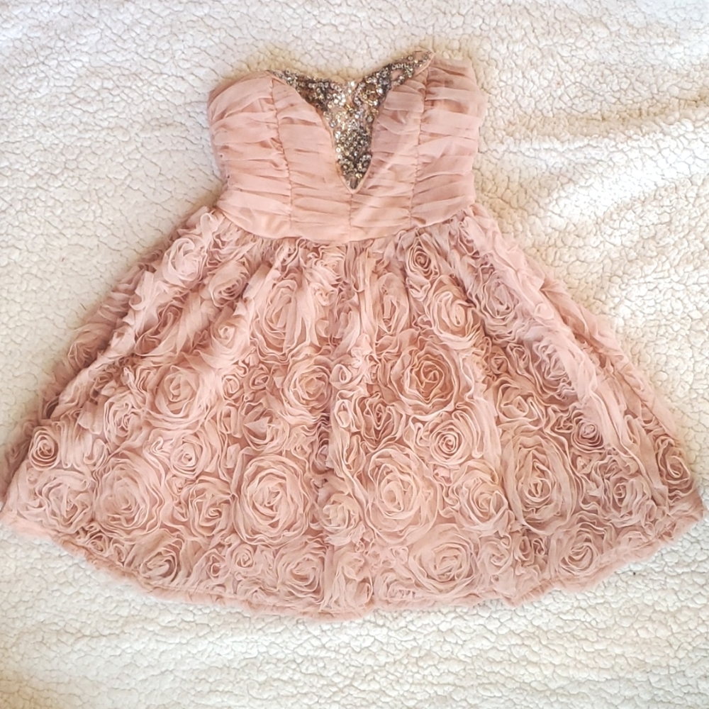 Trixxi blush rose mini formal dress